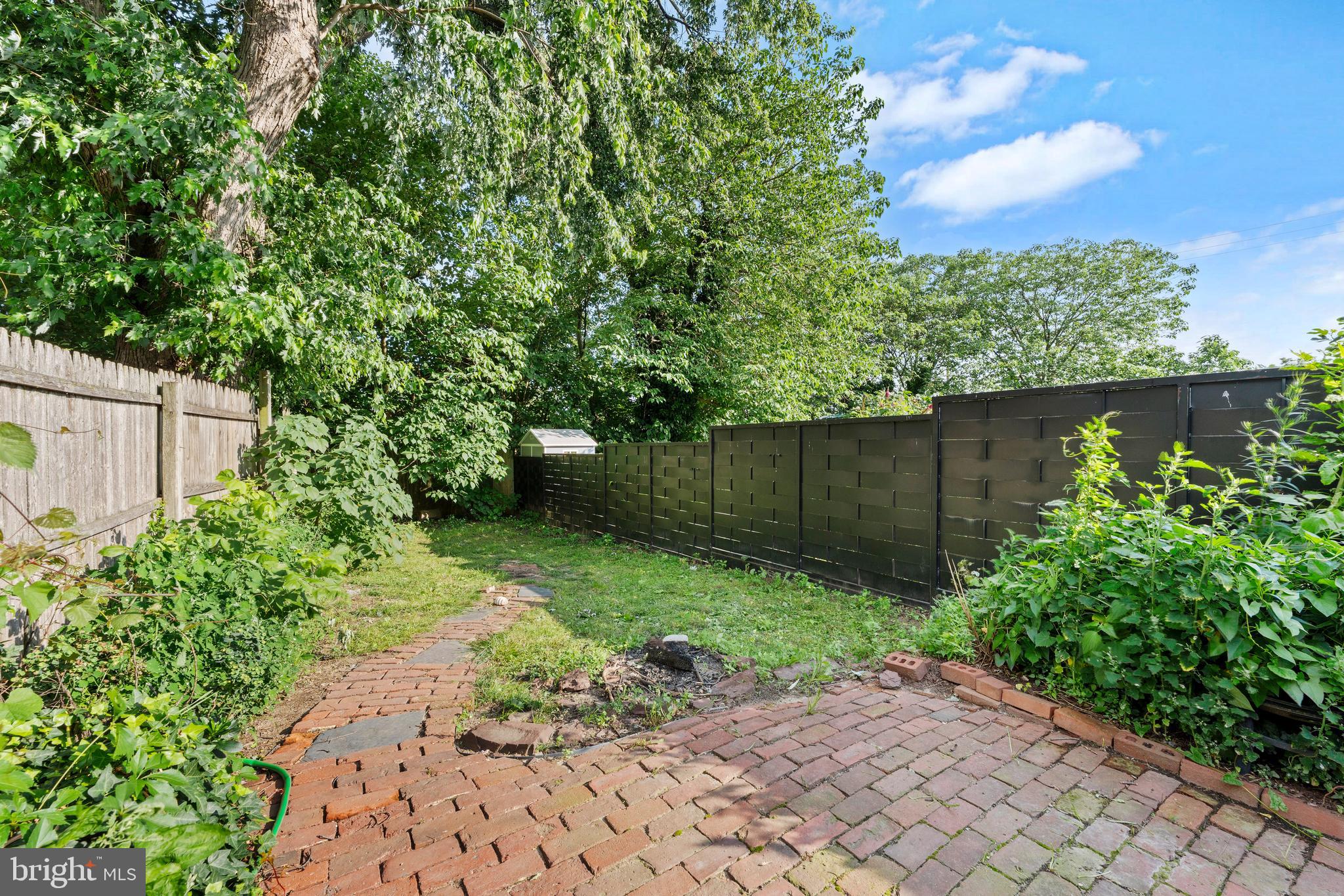 151 Fountain Street Philadelphia, PA 19127 - Photo 14 of 15 Backyard
