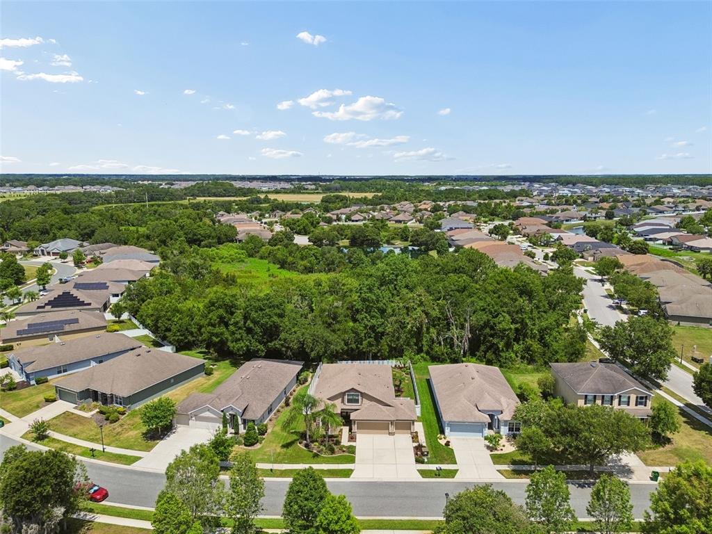 6601 Sparkling Way Wesley Chapel, FL 33545 - Photo 44 of 51