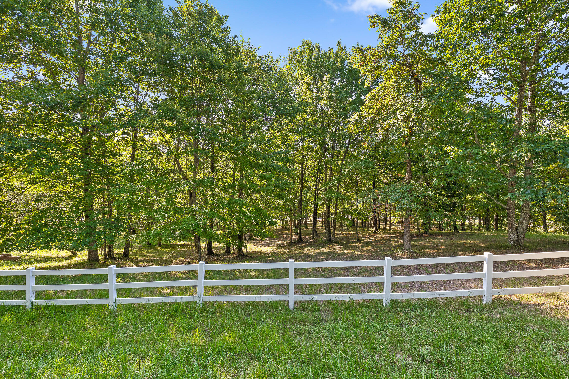 68 Bluff View Drive Dunlap, TN 37327 - Photo 13 of 100 Bluff View-95
