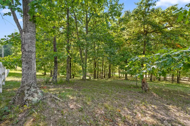 $850,000 | 68 Bluff View Drive, Dunlap, TN 37327