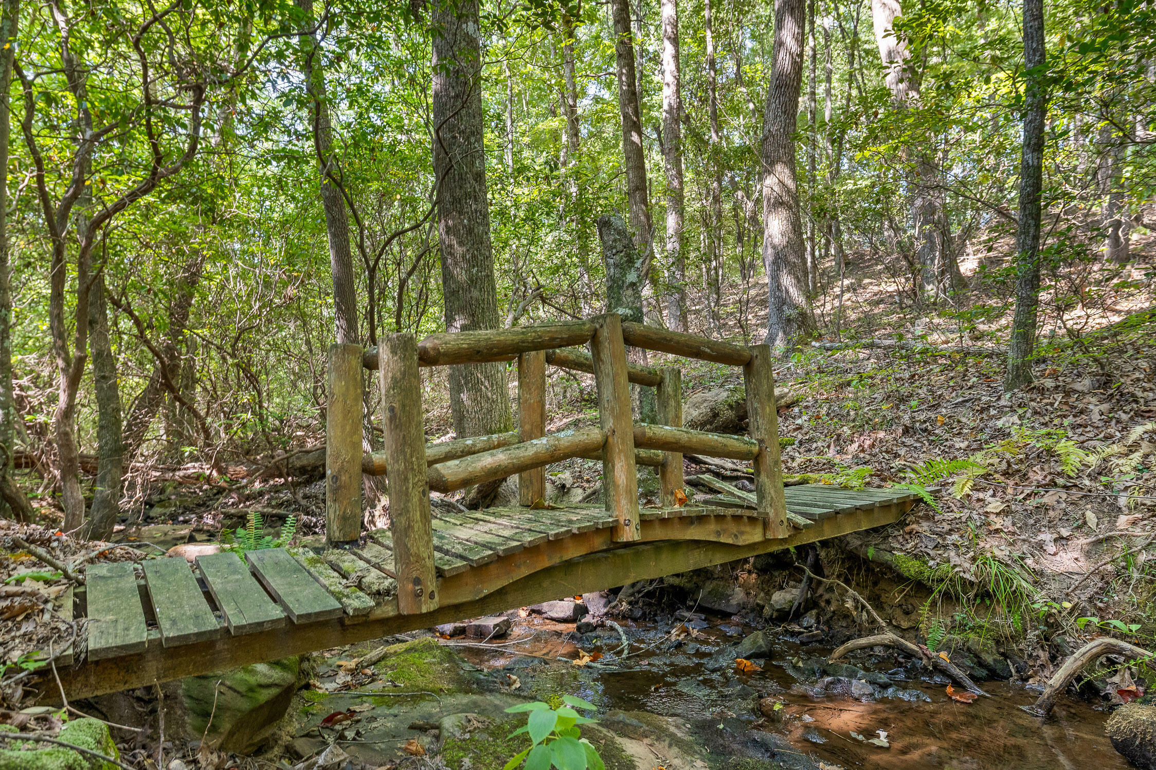 68 Bluff View Drive Dunlap, TN 37327 - Photo 15 of 100 Bluff View-106