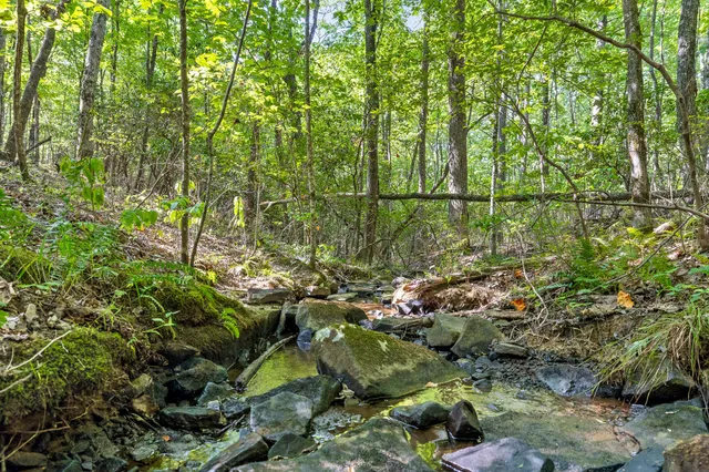 $850,000 | 68 Bluff View Drive, Dunlap, TN 37327