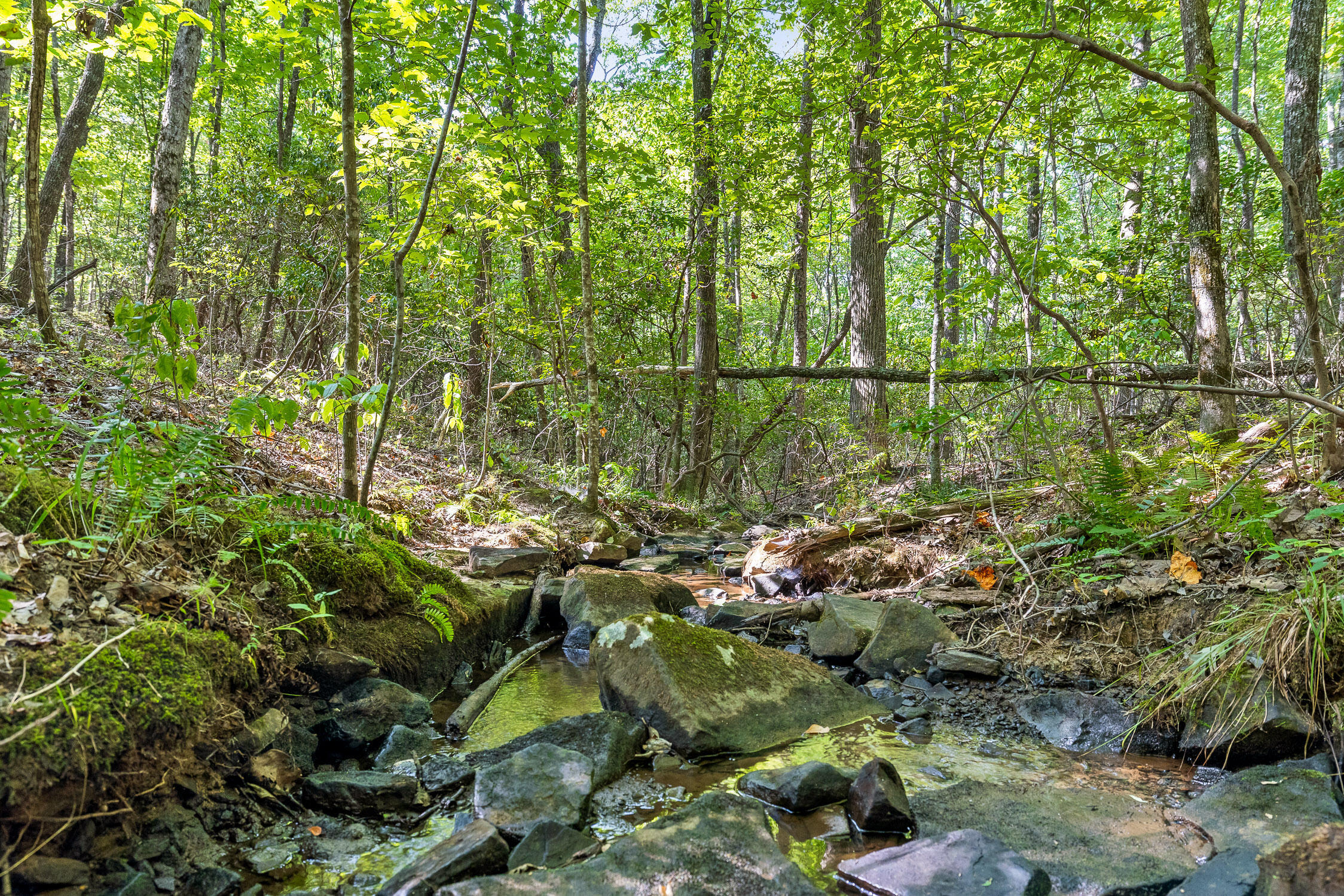 68 Bluff View Drive Dunlap, TN 37327 - Photo 16 of 100 Bluff View-105