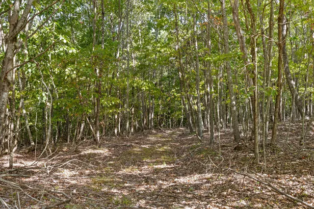 $850,000 | 68 Bluff View Drive, Dunlap, TN 37327