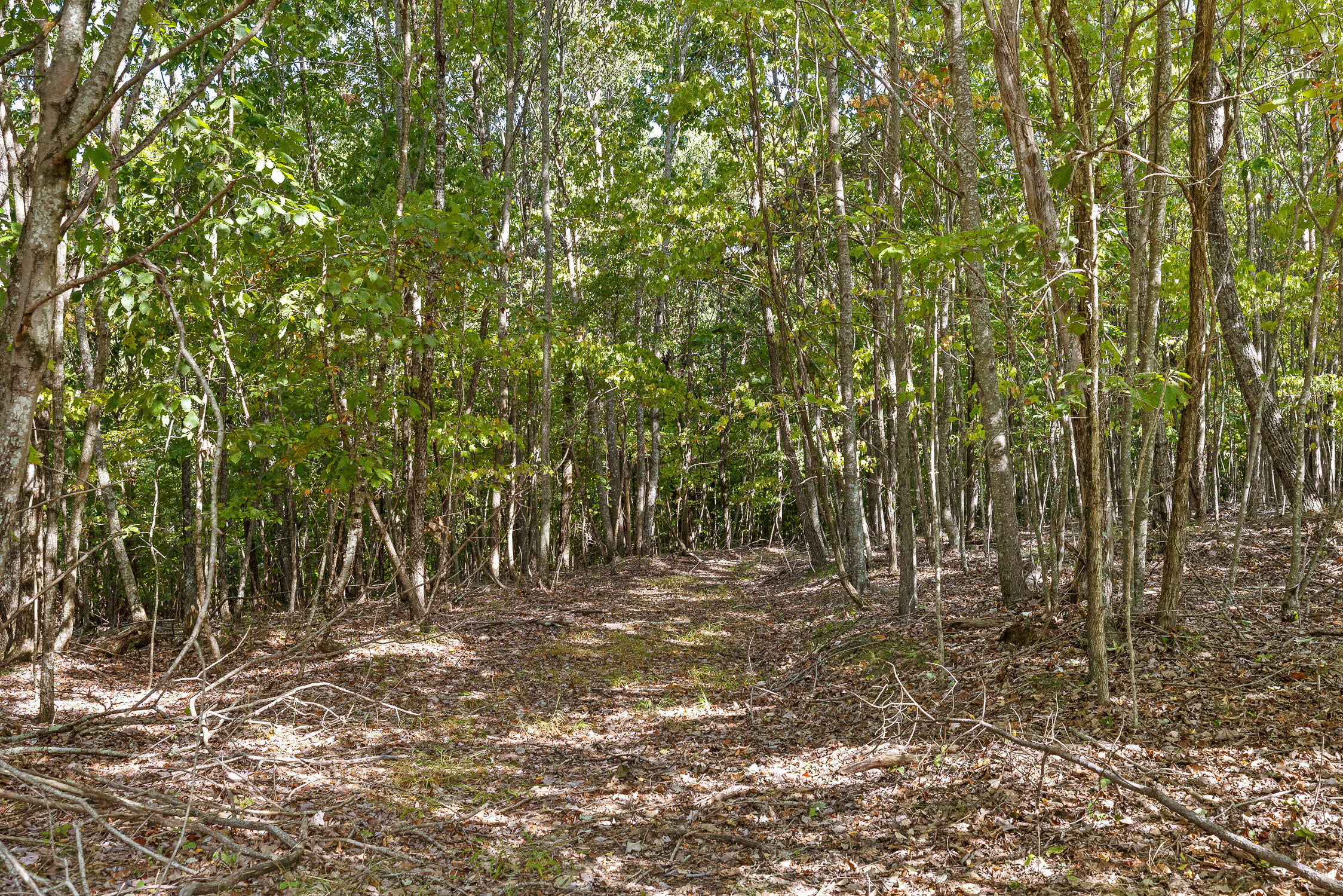 68 Bluff View Drive Dunlap, TN 37327 - Photo 19 of 100 Bluff View-98