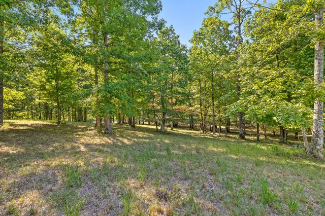 $850,000 | 68 Bluff View Drive, Dunlap, TN 37327