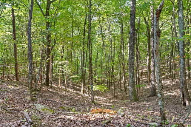 $850,000 | 68 Bluff View Drive, Dunlap, TN 37327