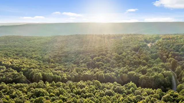 $850,000 | 68 Bluff View Drive, Dunlap, TN 37327