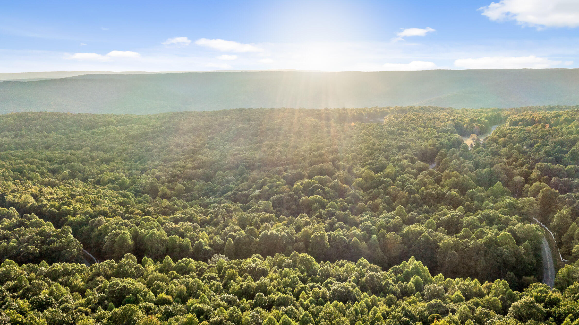 68 Bluff View Drive Dunlap, TN 37327 - Photo 90 of 100 Bluff View-12