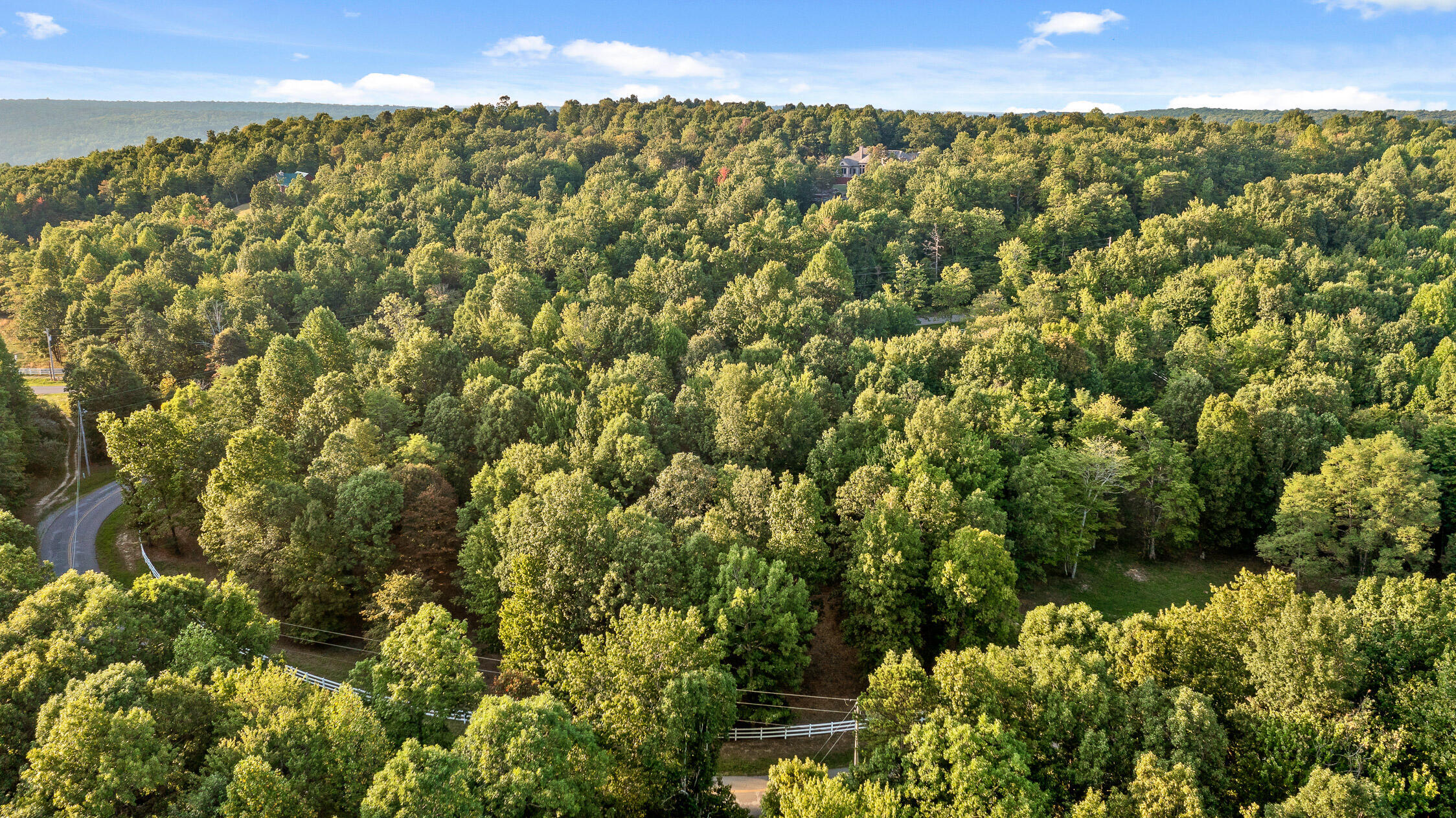 68 Bluff View Drive Dunlap, TN 37327 - Photo 91 of 100 Bluff View-2