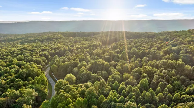 $850,000 | 68 Bluff View Drive, Dunlap, TN 37327