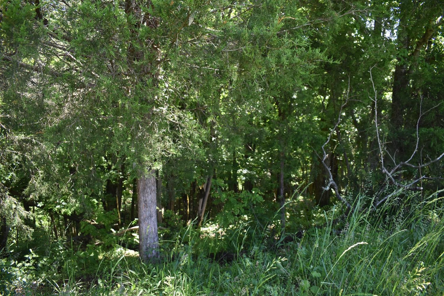1 Box Ankle Road Richmond, KY 40475 - Photo 13 of 34 Photo 14