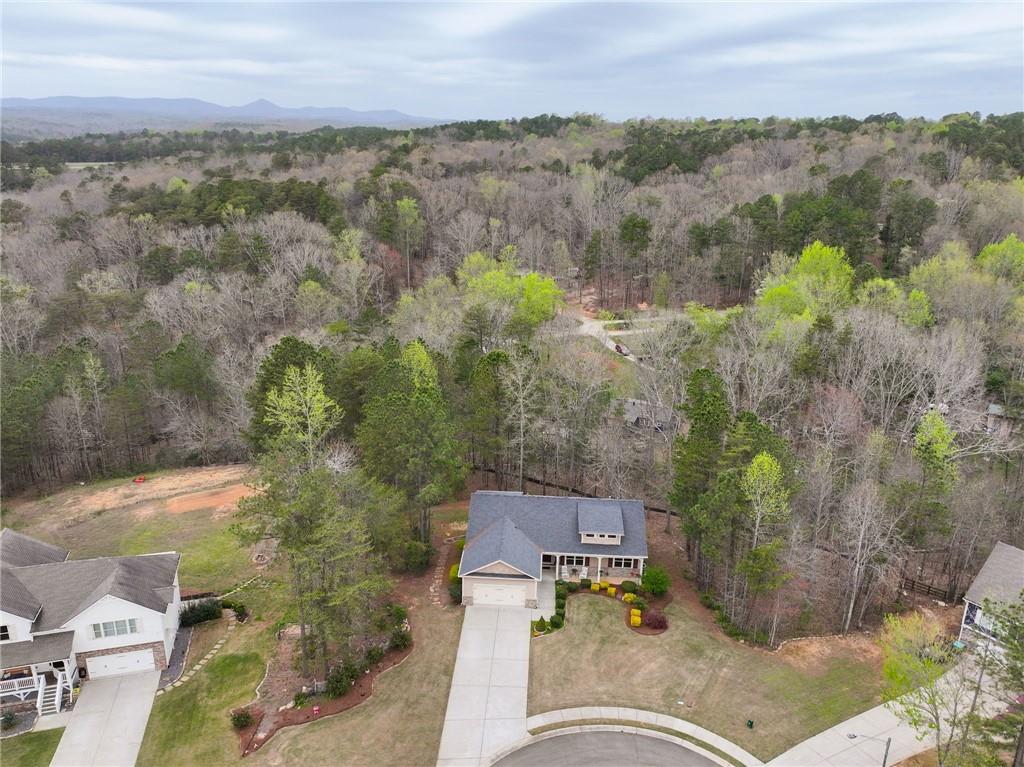 405 Wood Trace Ball Ground, GA 30107 - Photo 43 of 48