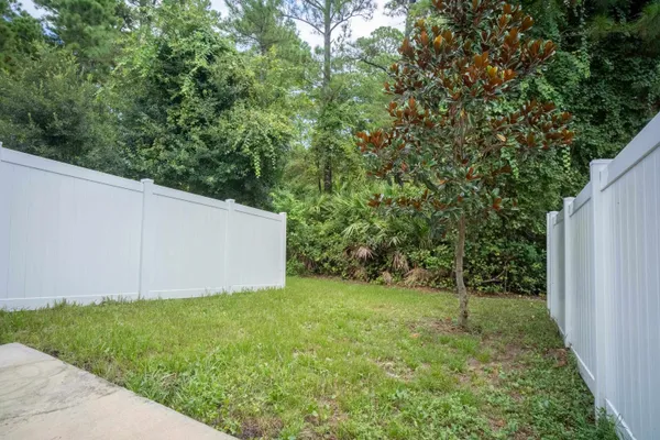a view of a field with plants in back yard