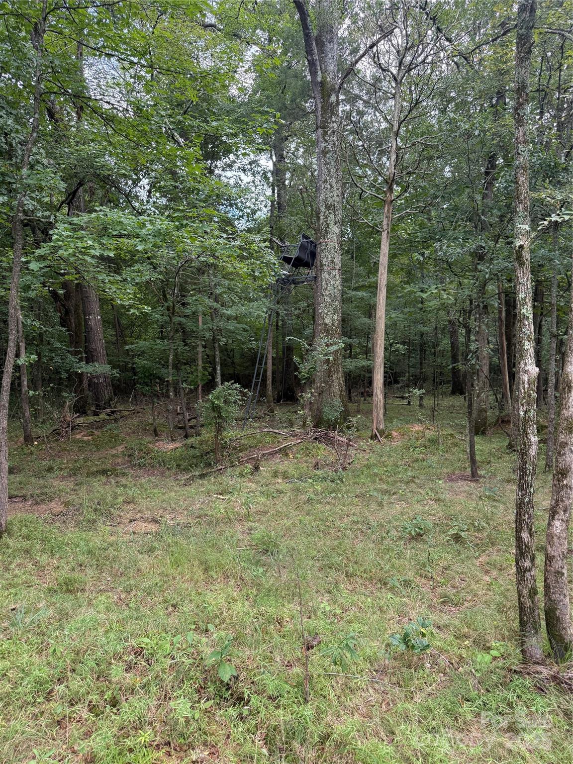 0 Hartsell Road Albemarle, NC 28001 - Photo 16 of 16 Gallery Image 16