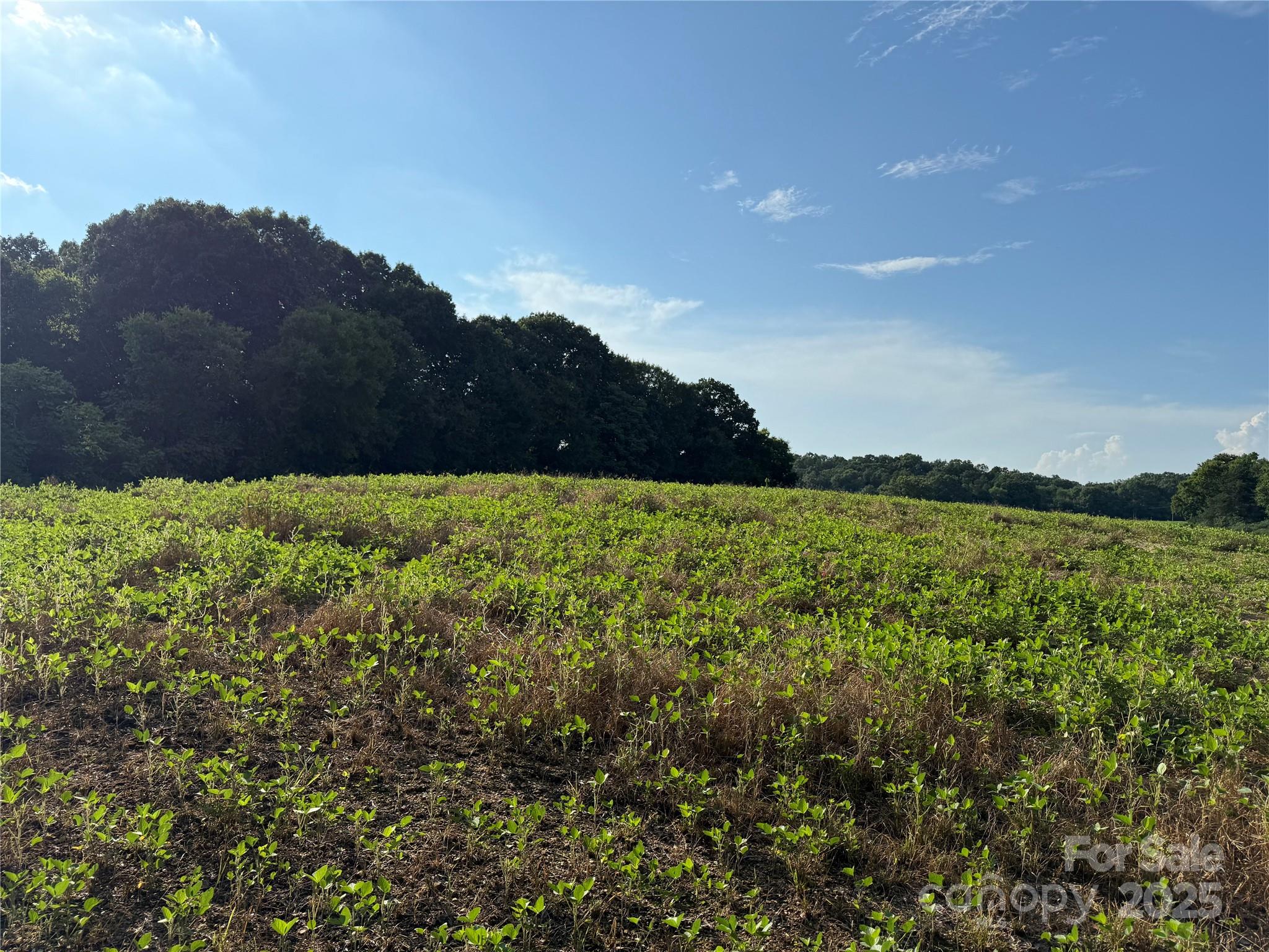 0 Hartsell Road Albemarle, NC 28001 - Photo 6 of 16 Gallery Image 6