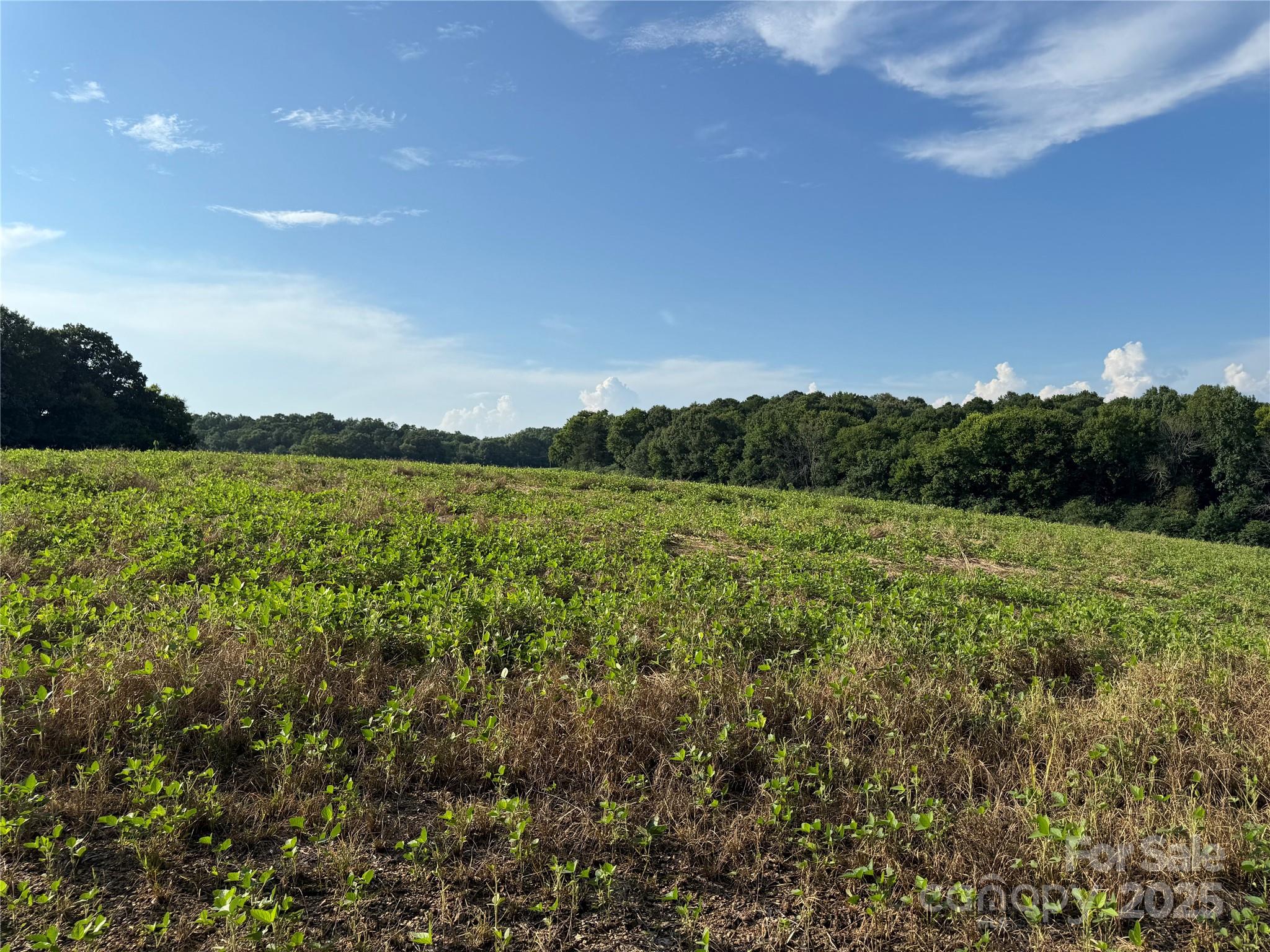 0 Hartsell Road Albemarle, NC 28001 - Photo 7 of 16 Gallery Image 7