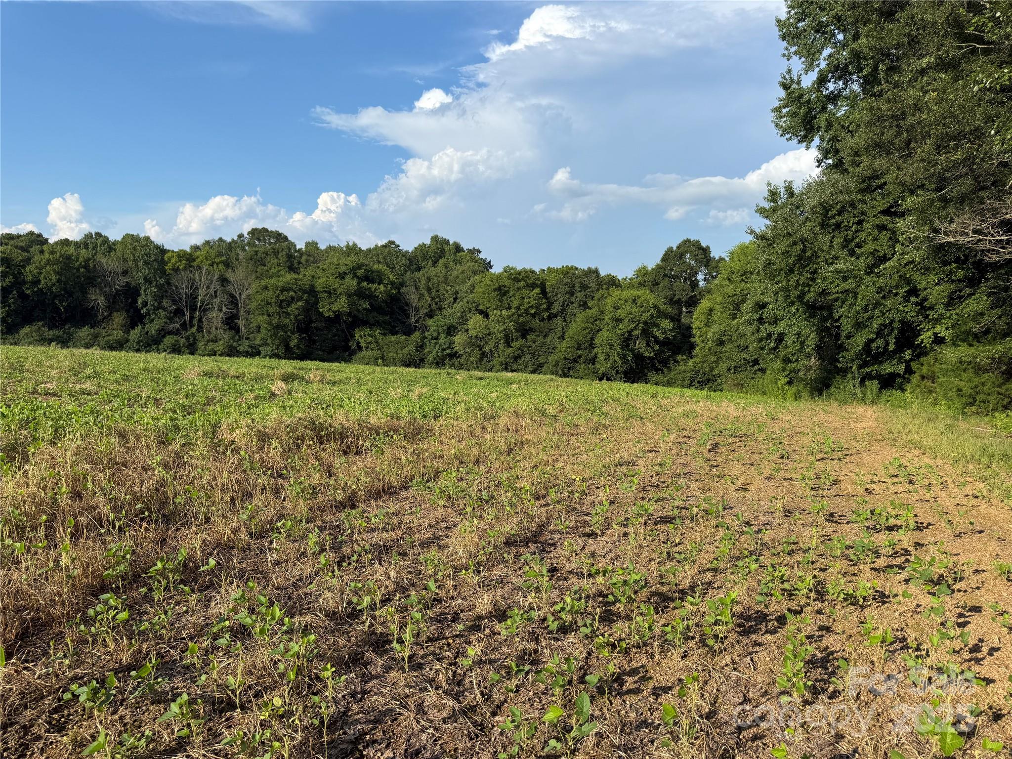 0 Hartsell Road Albemarle, NC 28001 - Photo 8 of 16 Gallery Image 8