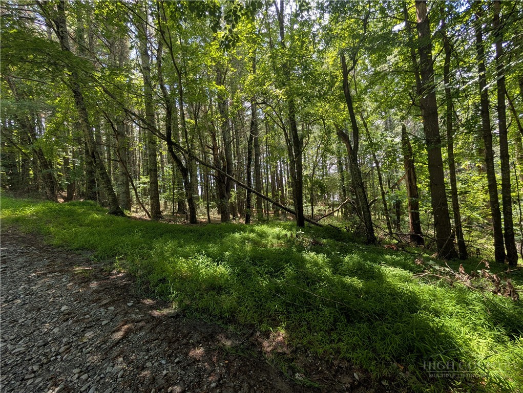 Doell Lane, Unit 20 Sparta, NC 28675 - Photo 9 of 18