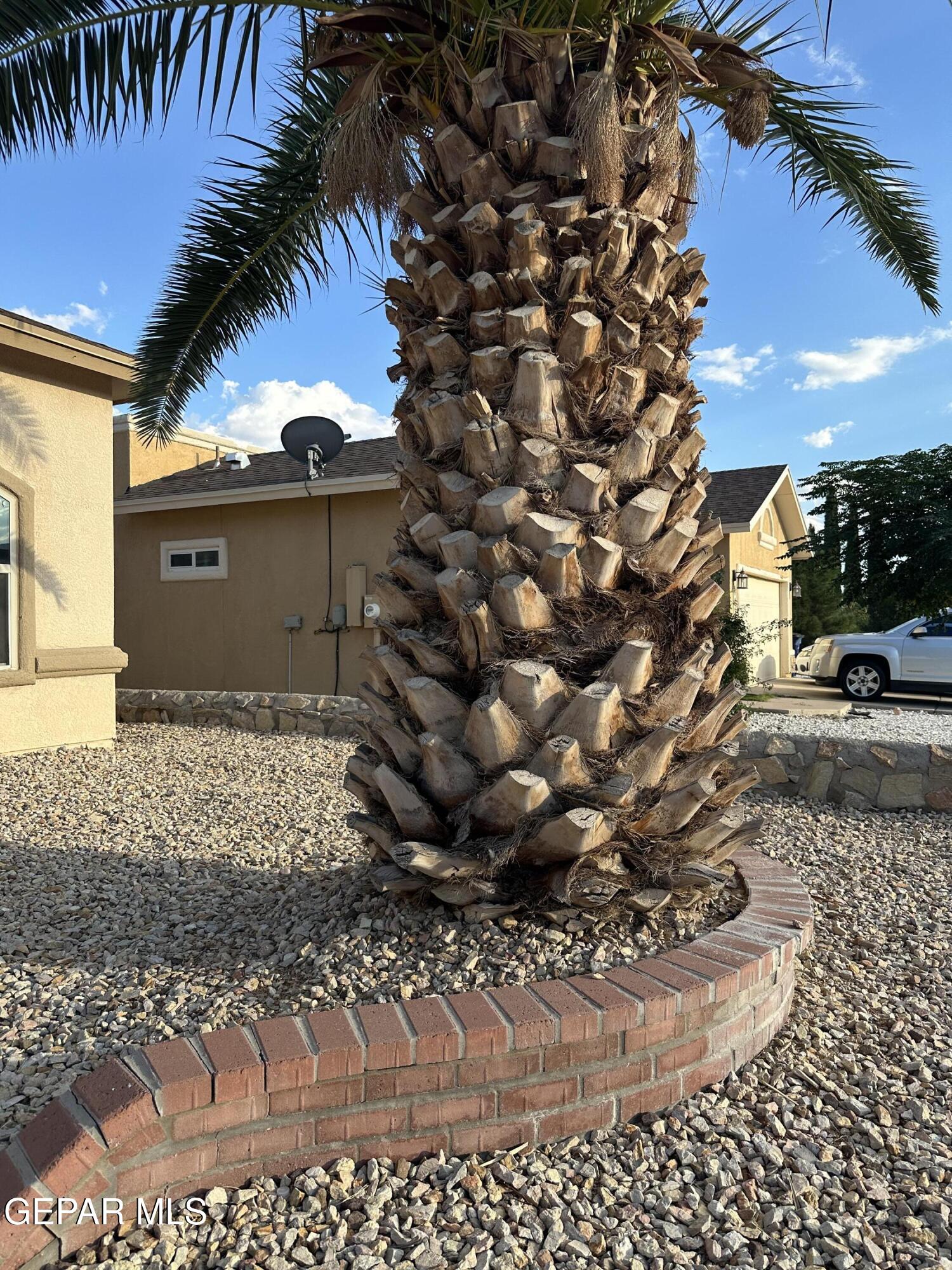 11528 Rafael Serna Lane El Paso, TX 79934 - Photo 10 of 22 a view of a outdoor space
