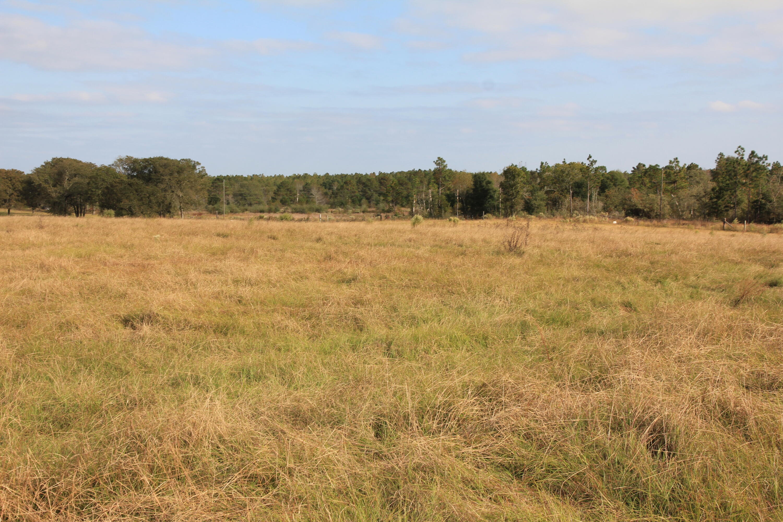 991 B Old Chalk Bed Road Batesburg, SC 29006 - Photo 2 of 4 Gallery Image 2