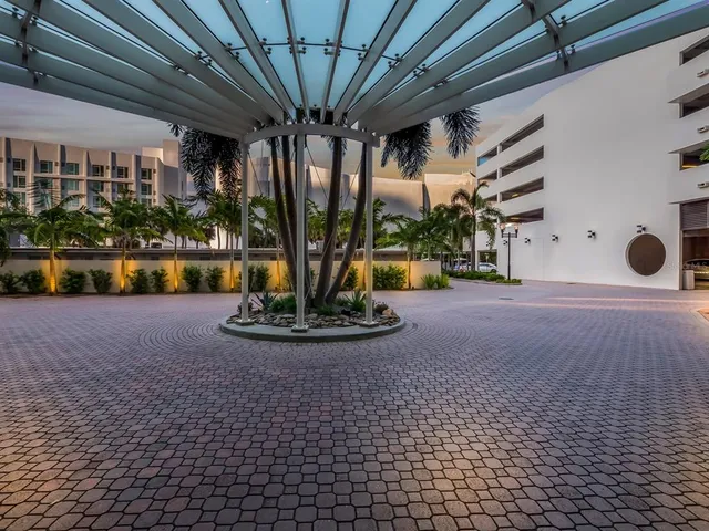 a view of a backyard with plants and large trees