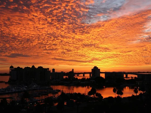 $7,000 | 1255 North Gulfstream Avenue, Unit 402, Sarasota, FL 34236