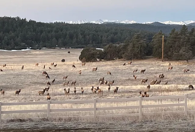 a view of a yard with mountain