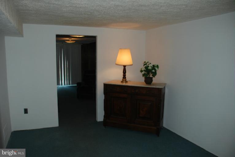 5817 Detrick Road Mount Airy, MD 21771 - Photo 8 of 30 Interior (General)