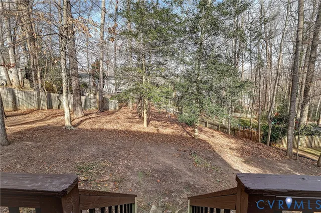 a view of a yard with plants