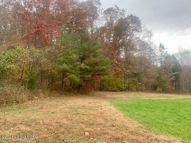 650 Lawler Road Cub Run, KY 42729 - Photo 12 of 23 woods 2