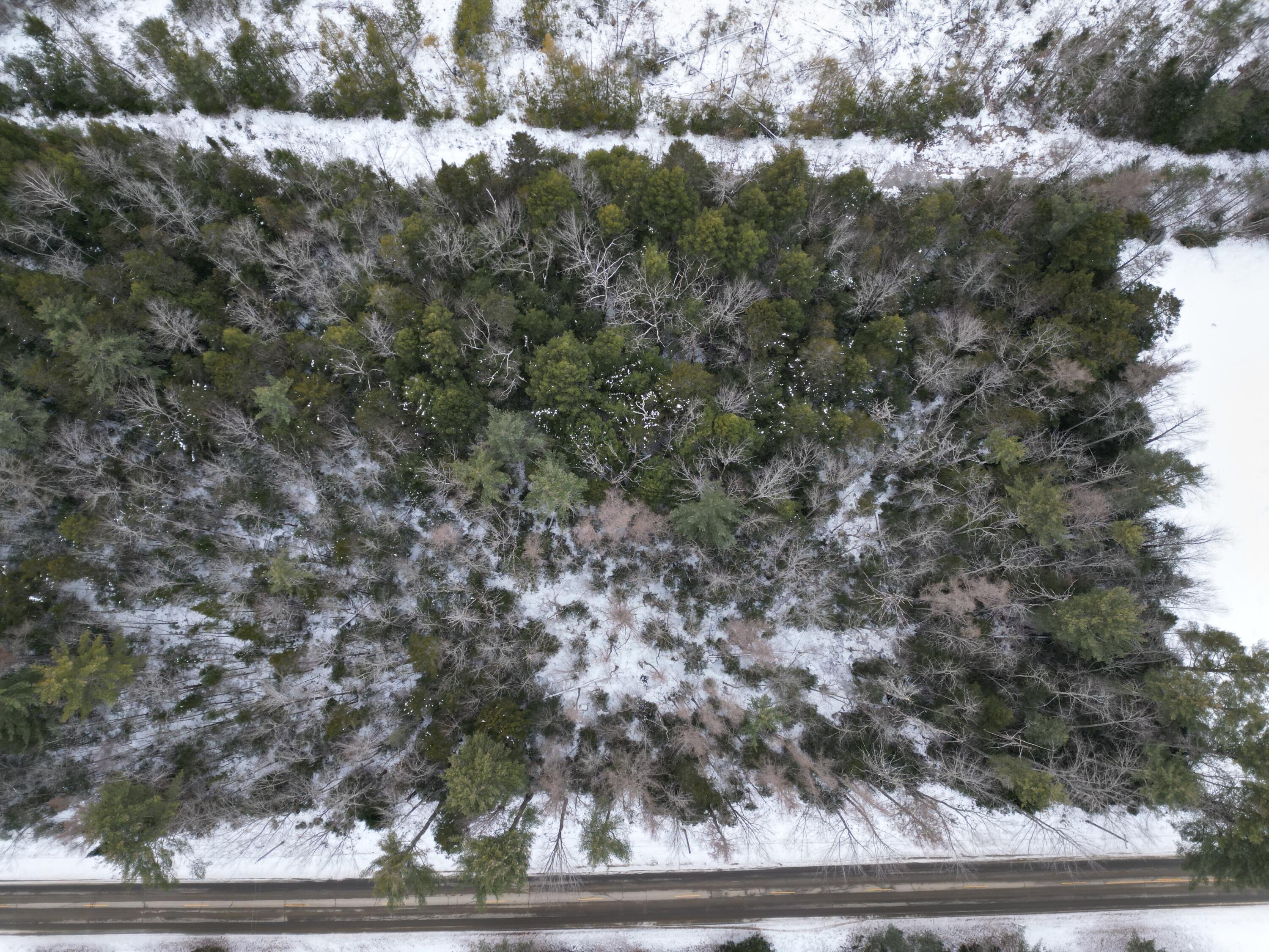9-1 Edinburg Road Howland, ME 04448 - Photo 13 of 16 DJI_0590