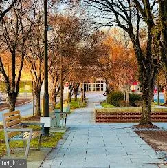 a view of a street with houses on both side