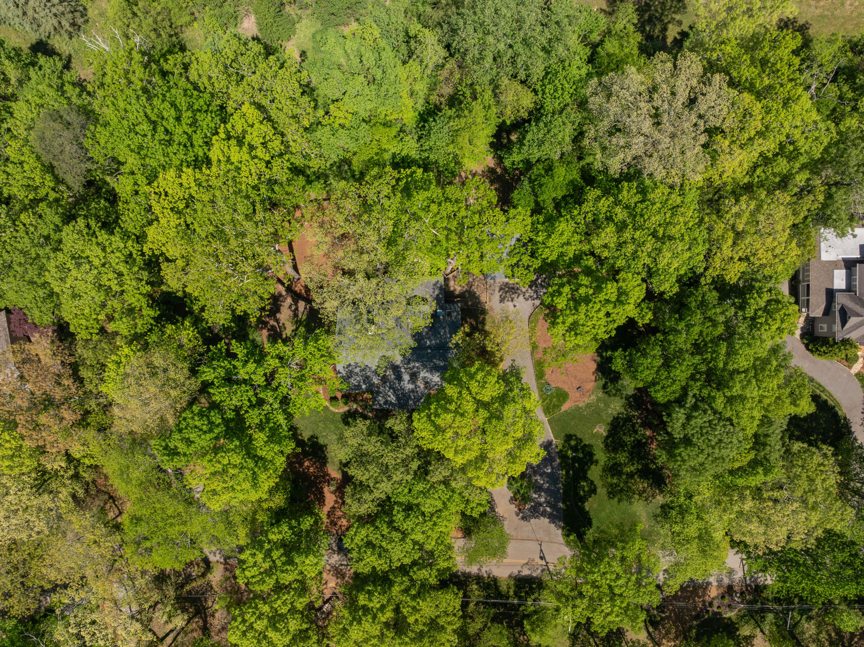 111 Riverpoint Road Signal Mountain, TN 37377 - Photo 69 of 70 17 - 111 Riverpoint Rd - Drone