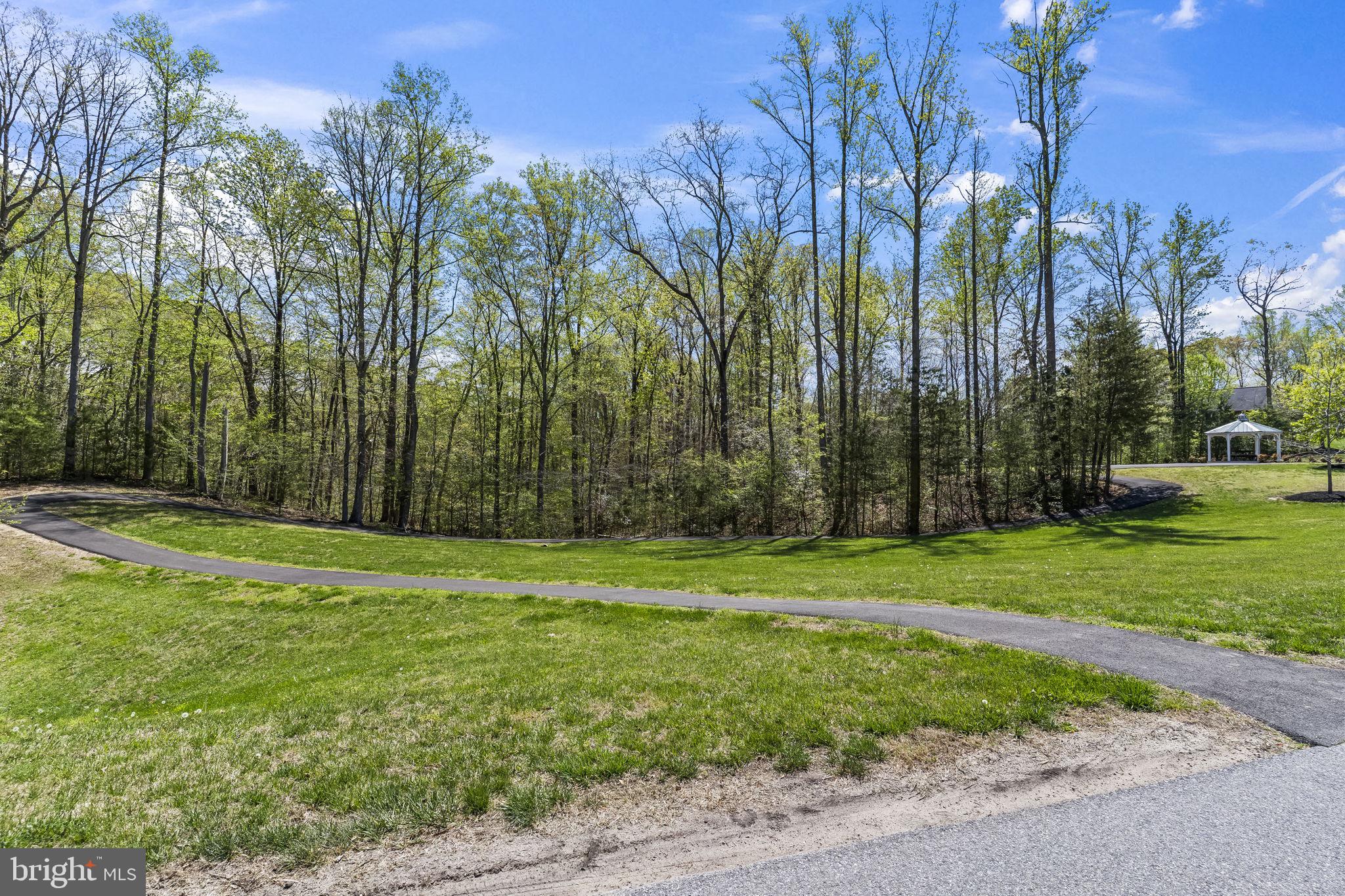 1905 Resting Ridge Lane Prince Frederick, MD 20678 - Photo 85 of 91 a view of a park with large trees