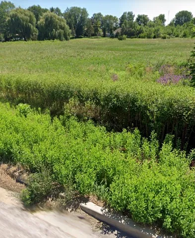 a view of a lush green outdoor space with a lake view