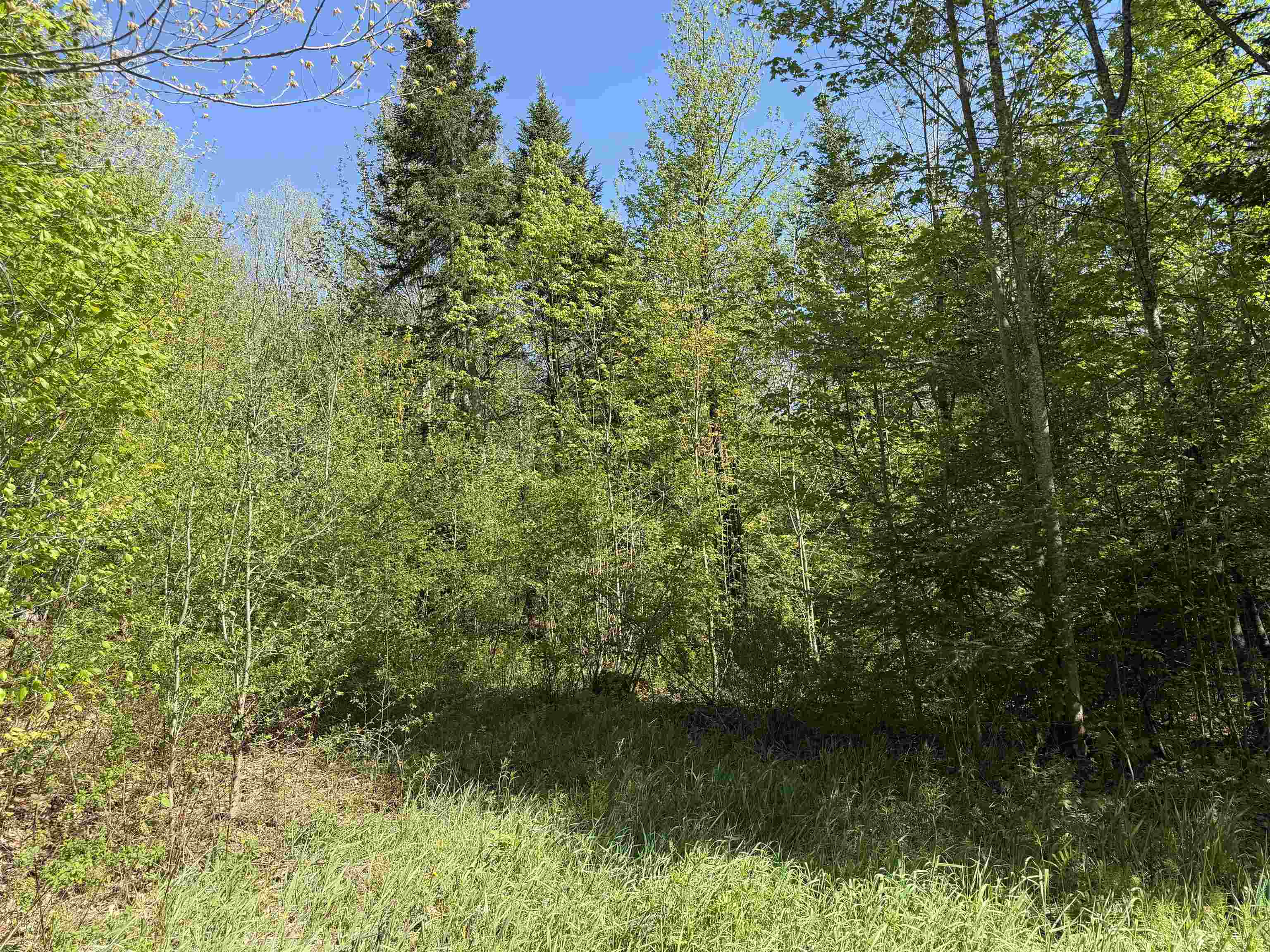 550 Petit Road Newport, VT 05855 - Photo 9 of 20