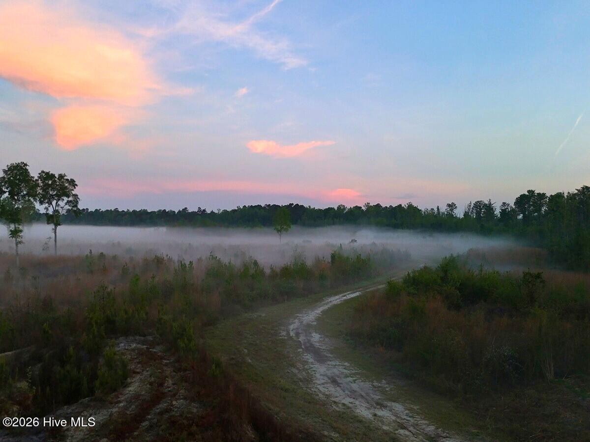 0 Durwood Evans Road Beulaville, NC 28518 - Photo 23 of 68 23.