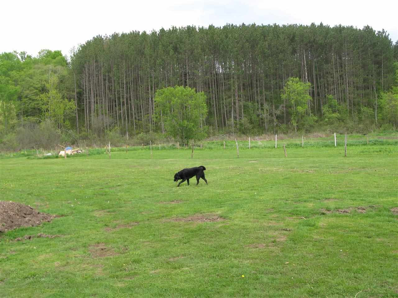 641 Patrick Road Cobleskill, NY 12043 - Photo 8 of 21 Photo 8