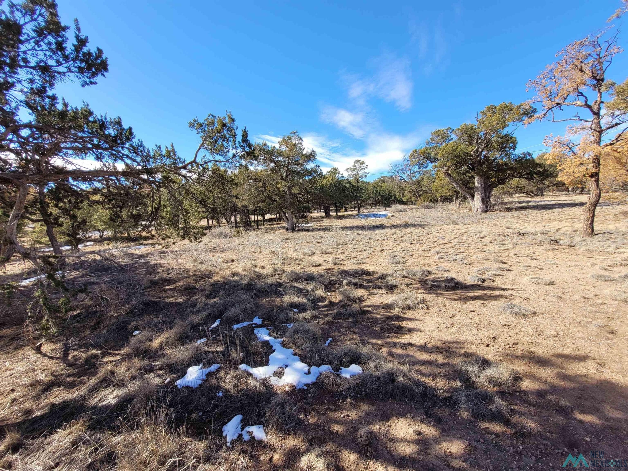 0 Homestead Trail, Unit 37 Datil, NM 87821 - Photo 7 of 20 Gallery Image 7