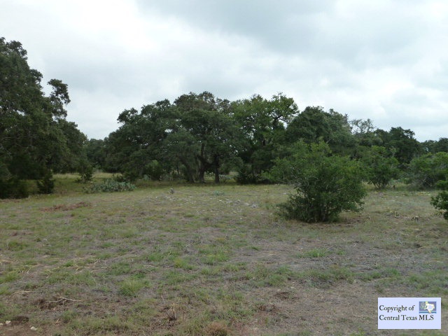 323 Dodder Lane Spring Branch, TX 78070 - Photo 1 of 1 a view of a field with trees in background