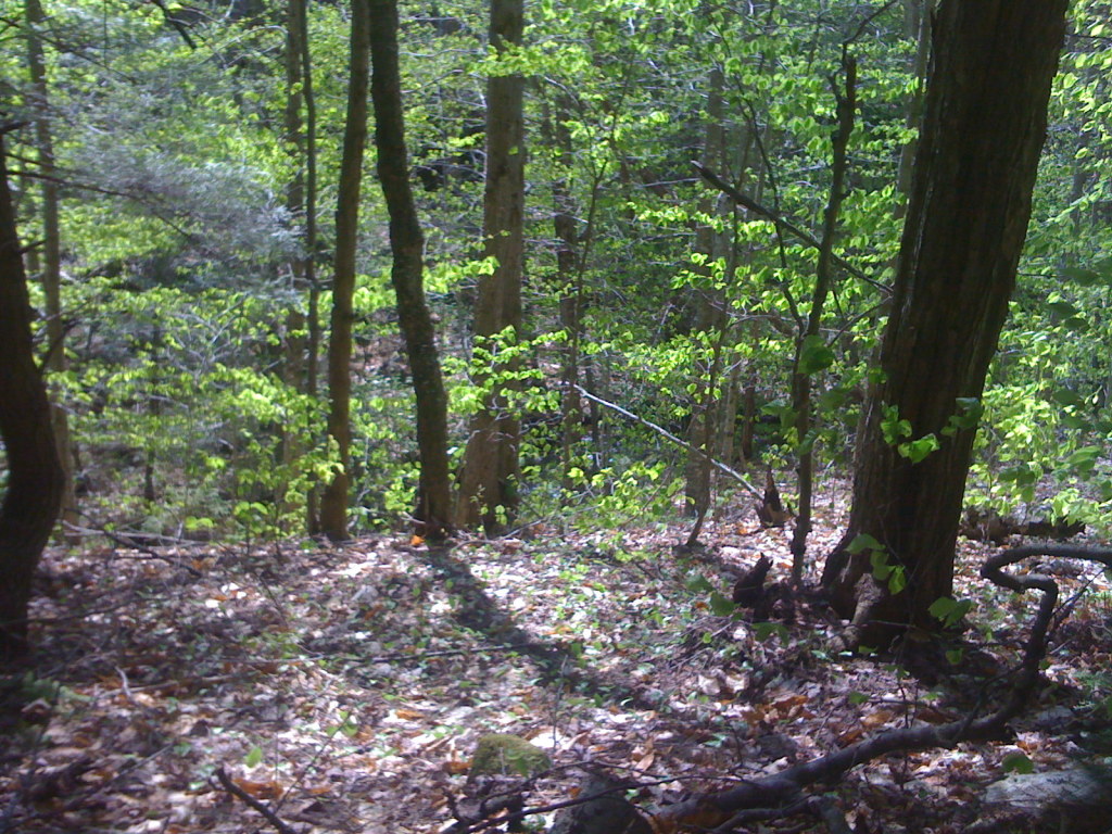 0 Old Middlefield Road Washington, MA 01223 - Photo 1 of 4 Gorgeous Land