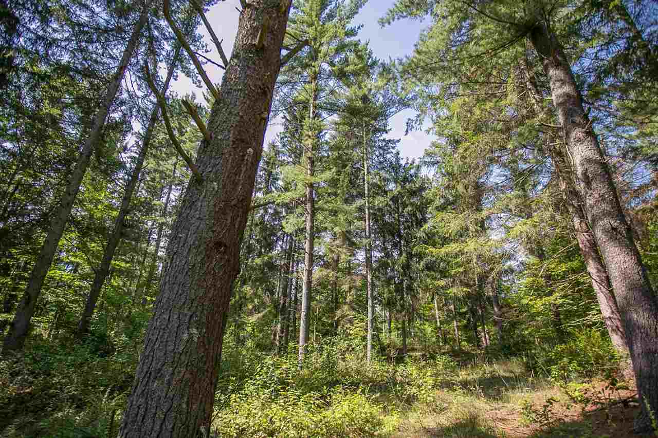 Burnt Mill Road Interlochen, MI 49643 - Photo 5 of 25 1863508-4.JPG
