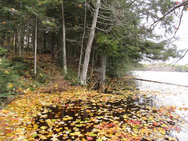 $175,000 | Lot 9 Little Africa Lake Road, Watersmeet, MI 49969