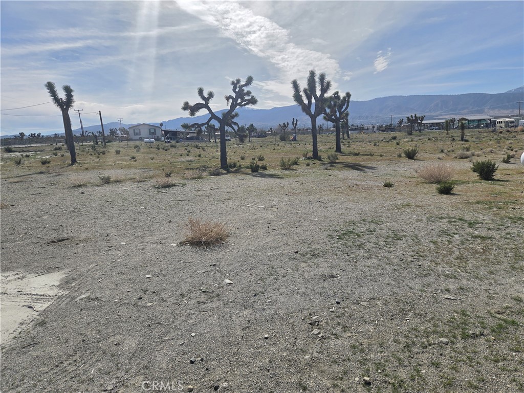 12474 Silver Rock Road Pinon Hills, CA 92372 - Photo 34 of 34 a view of a dry yard with trees