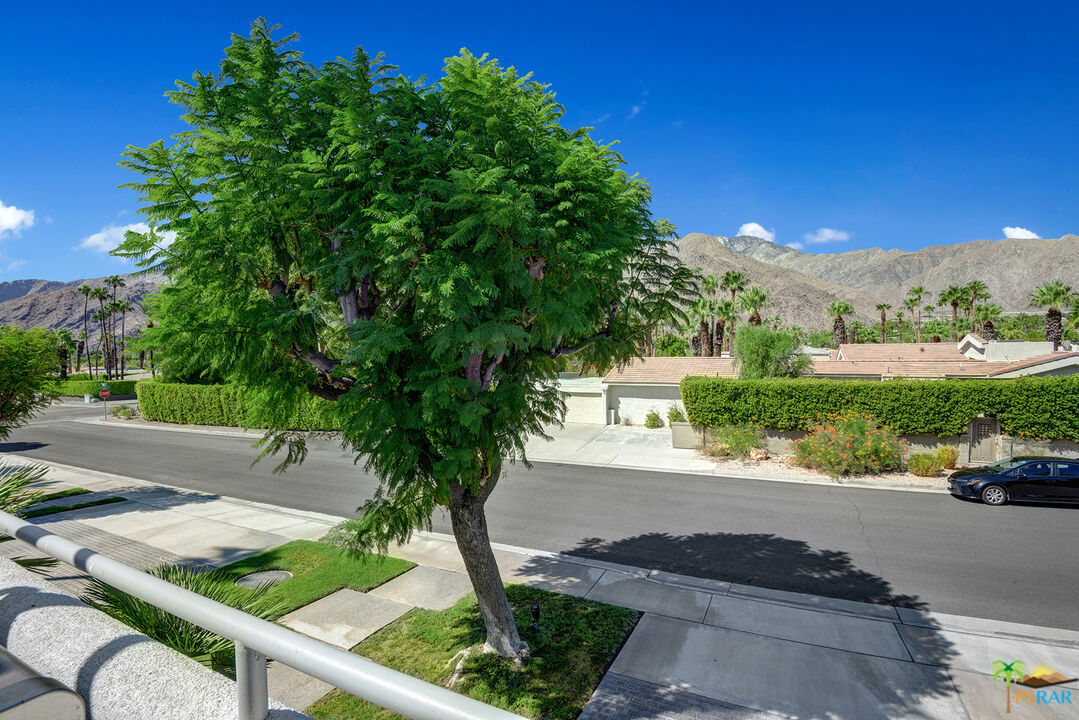 1530 North Kaweah Road Palm Springs, CA 92262 - Photo 35 of 42 a view of a street with potted plants