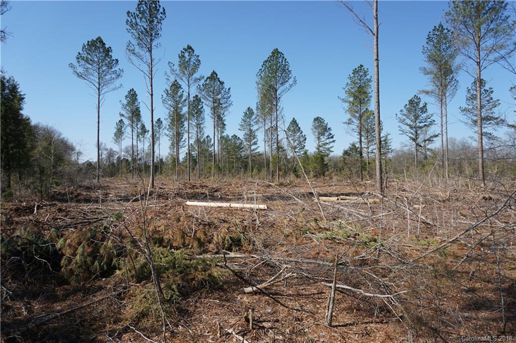4-ac 4-ac Wooten Road Chester, SC 29706 - Photo 2 of 11
