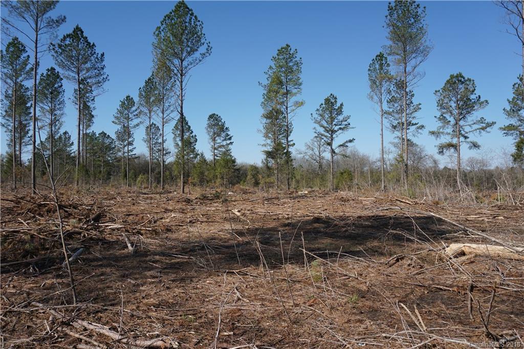 4-ac 4-ac Wooten Road Chester, SC 29706 - Photo 3 of 11