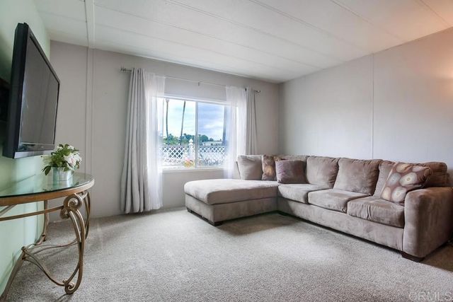 a living room with a couch and a potted plant