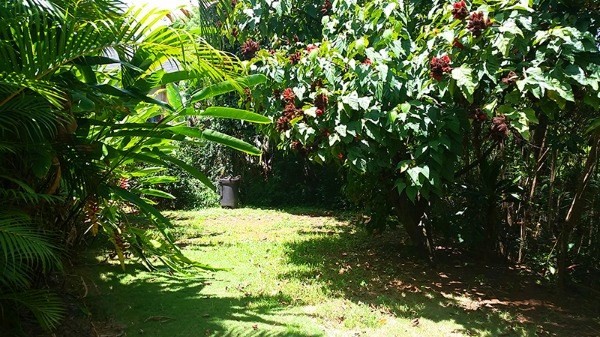 4841 Ohu Road Kapaa, HI 96746 - Photo 13 of 20